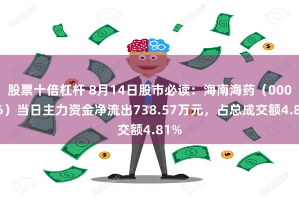 股票十倍杠杆 8月14日股市必读：海南海药（000566）当日主力资金净流出738.57万元，占总成交额4.81%