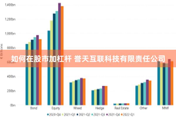 如何在股市加杠杆 誉天互联科技有限责任公司