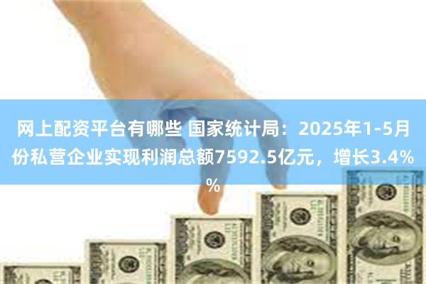 网上配资平台有哪些 国家统计局：2025年1-5月份私营企业实现利润总额7592.5亿元，增长3.4%