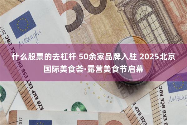 什么股票的去杠杆 50余家品牌入驻 2025北京国际美食荟·露营美食节启幕