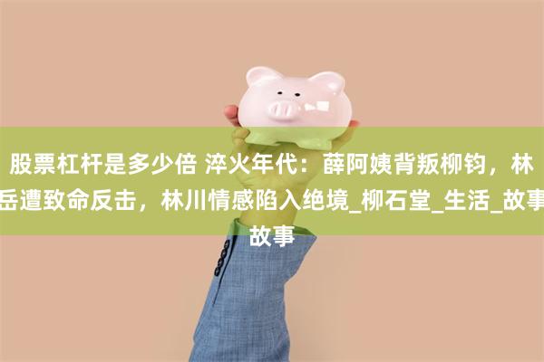 股票杠杆是多少倍 淬火年代：薛阿姨背叛柳钧，林岳遭致命反击，林川情感陷入绝境_柳石堂_生活_故事