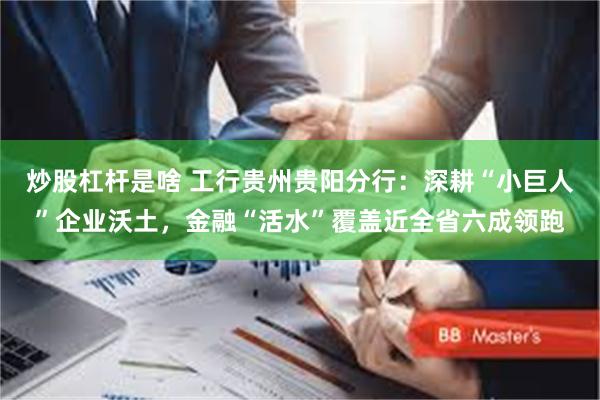 炒股杠杆是啥 工行贵州贵阳分行：深耕“小巨人”企业沃土，金融“活水”覆盖近全省六成领跑