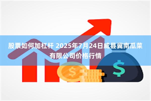 股票如何加杠杆 2025年7月24日威县冀南瓜菜有限公司价格行情