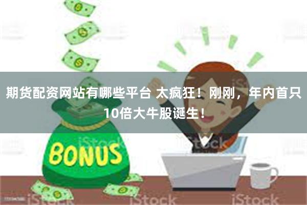 期货配资网站有哪些平台 太疯狂！刚刚，年内首只10倍大牛股诞生！