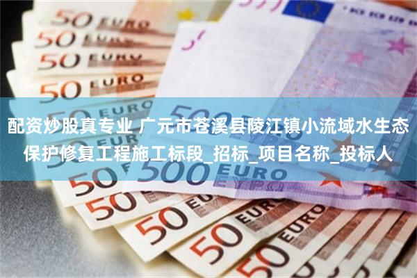 配资炒股真专业 广元市苍溪县陵江镇小流域水生态保护修复工程施工标段_招标_项目名称_投标人