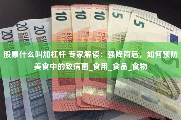 股票什么叫加杠杆 专家解读：强降雨后，如何预防美食中的致病菌_食用_食品_食物