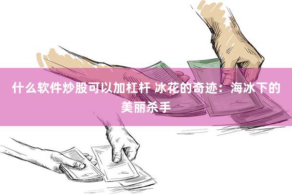 什么软件炒股可以加杠杆 冰花的奇迹：海冰下的美丽杀手